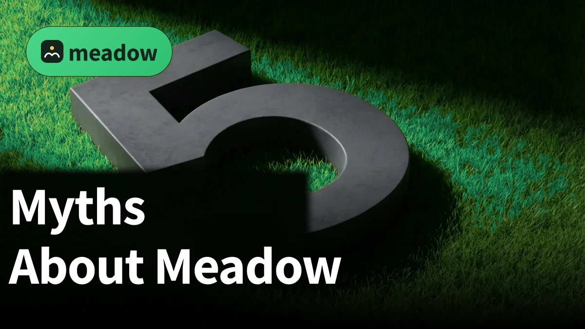 meadow blog