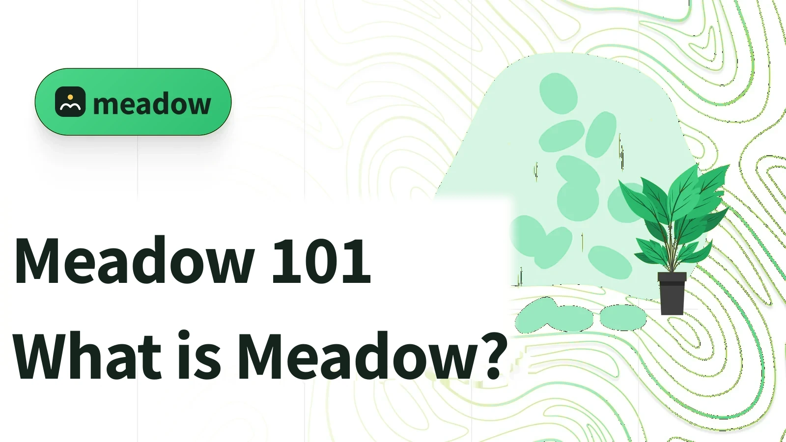 meadow learn